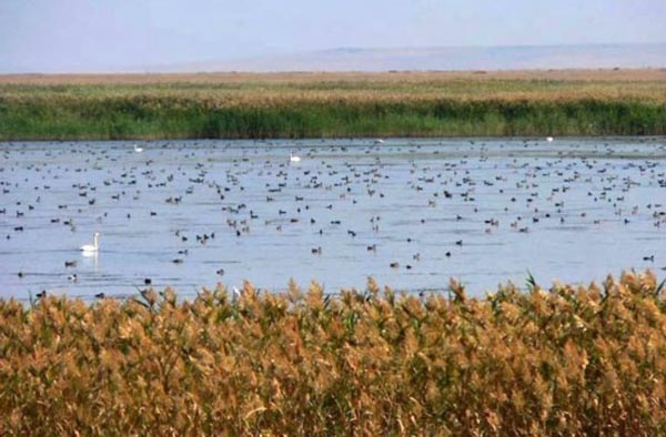 Saryarka - Steppe and Lakes of Northern Kazakhstan